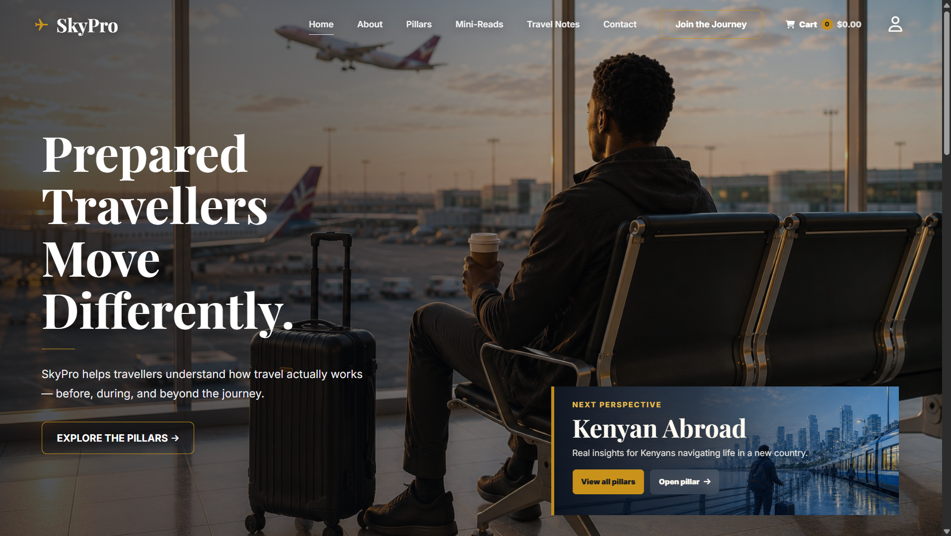 SkyPro Travel website screenshot
